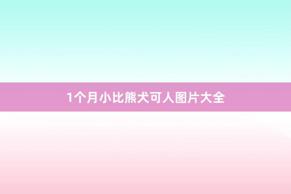 1个月小比熊犬可人图片大全